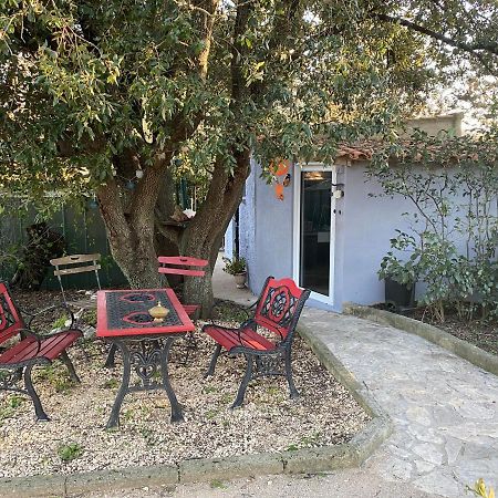 Studio Havre De Paix Au Pont Du Gard Piscine Et Jacuzzi Chez Valerie Payre 韦尔-加尔桥 外观 照片