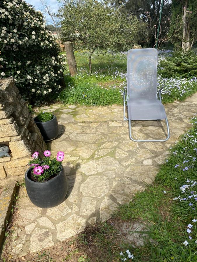 Studio Havre De Paix Au Pont Du Gard Piscine Et Jacuzzi Chez Valerie Payre 韦尔-加尔桥 外观 照片